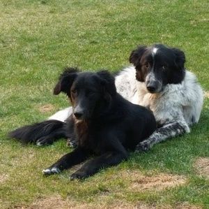 Meet your Posher, Paul